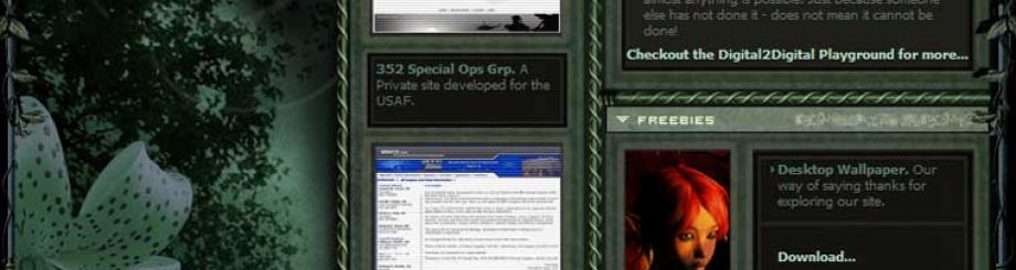 Visumax 2006 site design